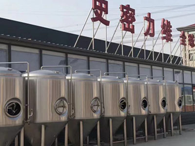 萨尔图精酿啤酒设备厂—如何判断精酿啤酒设备的密封件需要更换？